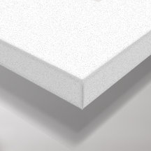 Romantisches Blumenzwiebelposter