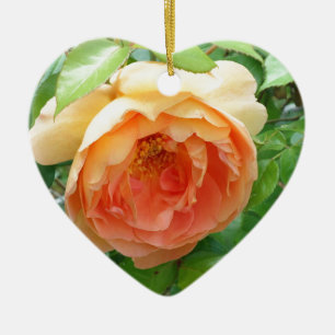 Romantisches elegantes Orange Rose Foto Keramikornament