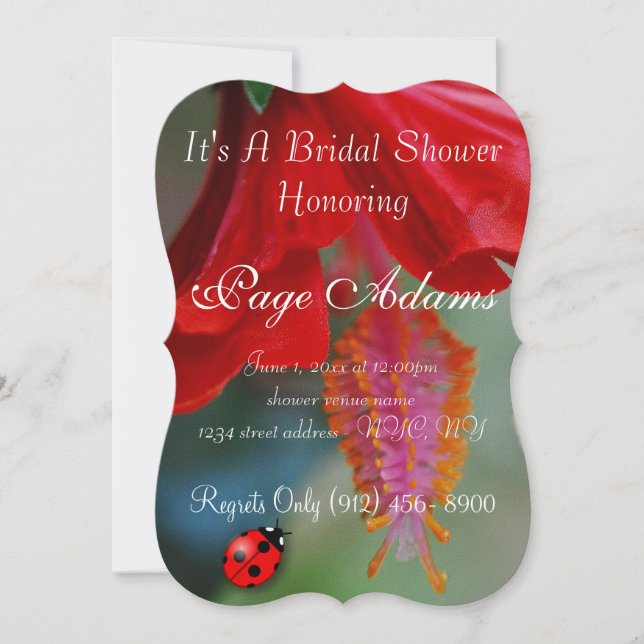 Romantisches Glückmarienkäfer Brautparty-Schicksal Einladung (Vorderseite)