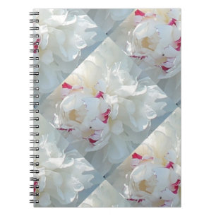Romantisches Multi Peony Notebook Notizblock