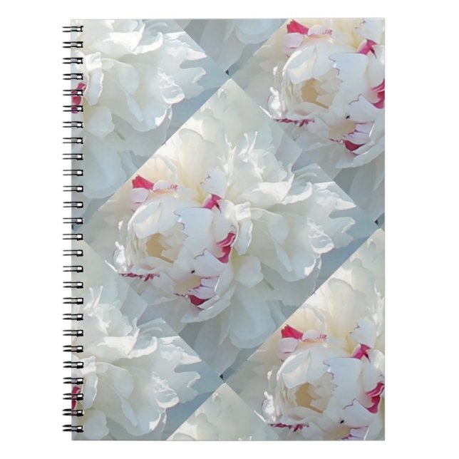 Romantisches Multi Peony Notebook Notizblock (Vorderseite)