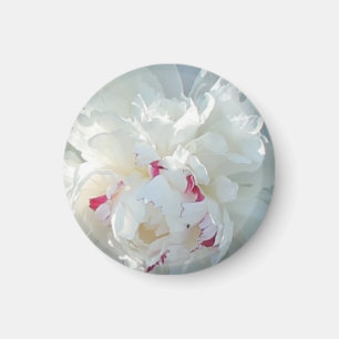 Romantisches Peony Magnet