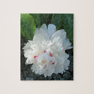 Romantisches Peony Puzzle