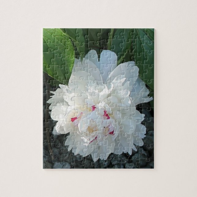 Romantisches Peony Puzzle (Vertikal)