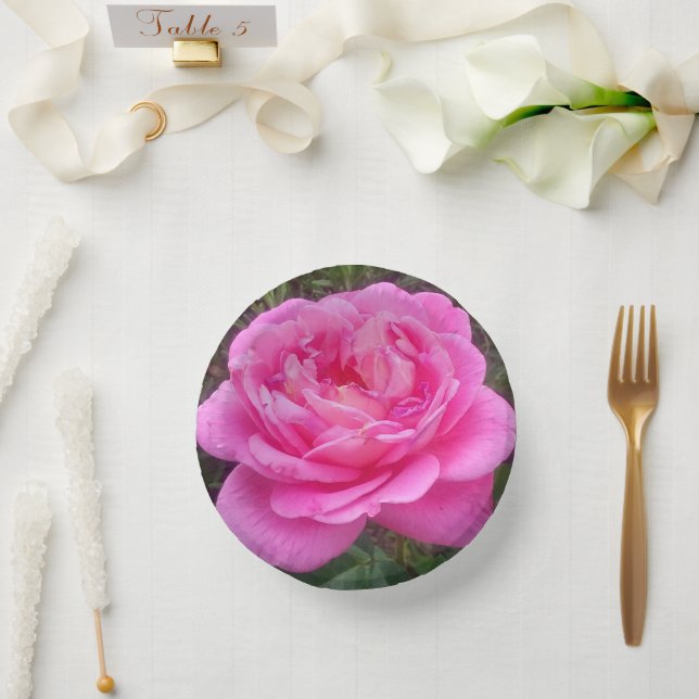 Romantisches Rosa "Leonardo Da Vinci" Pappteller (Hochzeit)