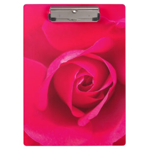 Romantisches Rot Pinke Rose v2 Klemmbrett