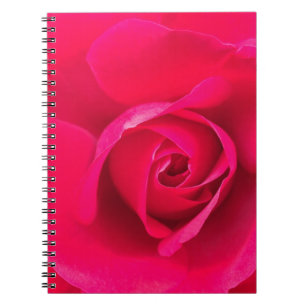 Romantisches Rot Pinke Rose v2 Notizblock