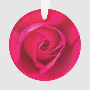 Romantisches Rot Pinke Rose v2 Ornament