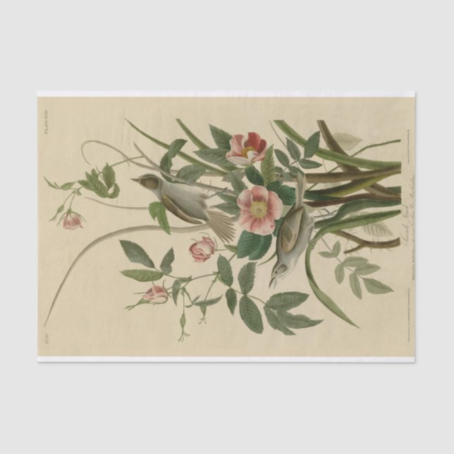 Romantisches Vintages Vogel-und Rosen-Seidenpapier Seidenpapier (Vorderseite)