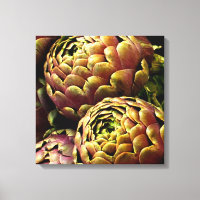 Rome Artichokes