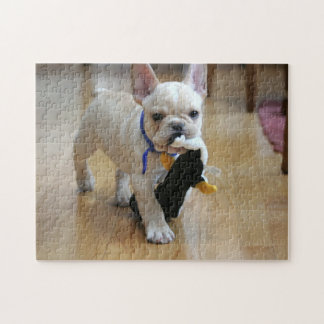 Romeo das französische Bulldoggen-Puzzlespiel Puzzle