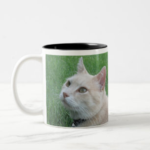 Romeo die Katzen-Kaffee-Tasse Zweifarbige Tasse