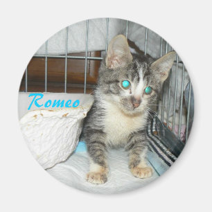 Romeo-Kreismagnet Magnet