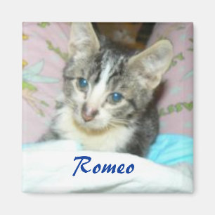 Romeo-Magnet Magnet