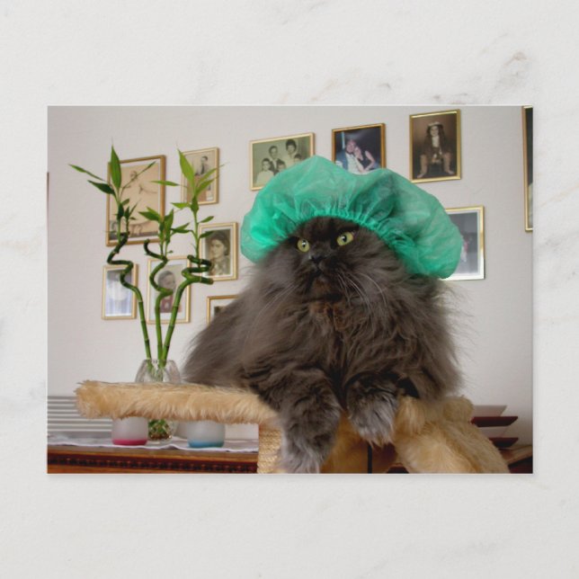 Romeo Postkarte (Vorderseite)