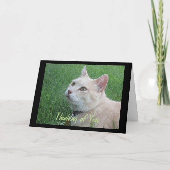 Romeo The Cat Thinking Your Greeting Card Karte (Vorderseite)