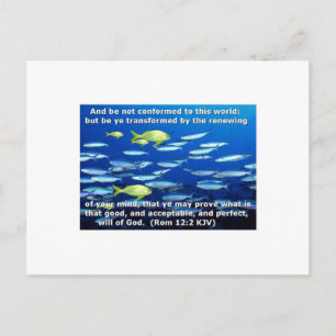 Römer 12:2 postkarte