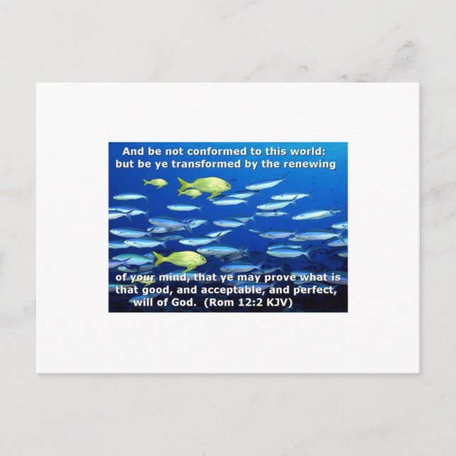 Römer 12:2 postkarte (Vorderseite)