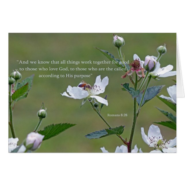 Römer 8:28 (Vorderseite (Horizontal))