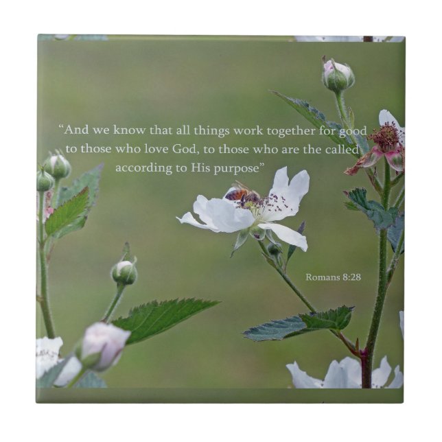 Römer 8:28 fliese (Vorderseite)