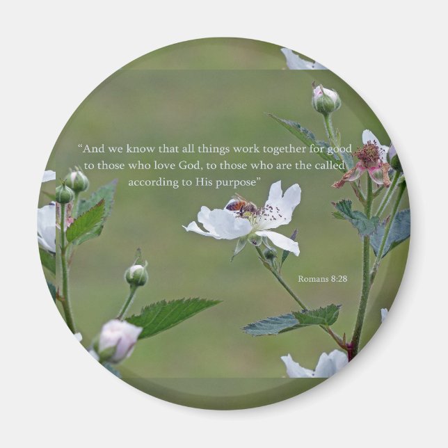 Römer 8:28 magnet (Vorne)