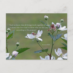 Römer 8:28 postkarte