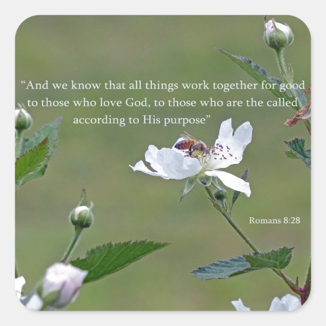 Römer 8:28 quadratischer aufkleber (Vorderseite)
