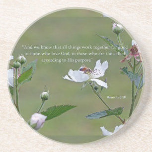 Römer 8:28 untersetzer