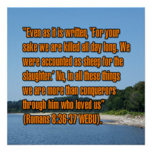 Römer 8:36-37 WEBU Poster