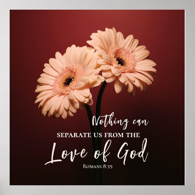 Römer 8 39 Liebe des Verses Gottes Rosa Braun Poster (Vorne)