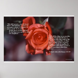 Römer 8 Rose Poster
