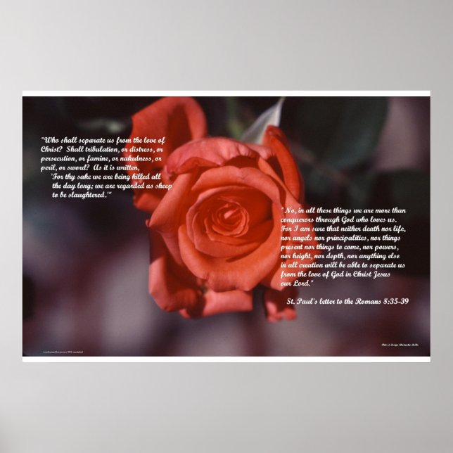 Römer 8 Rose Poster (Vorne)