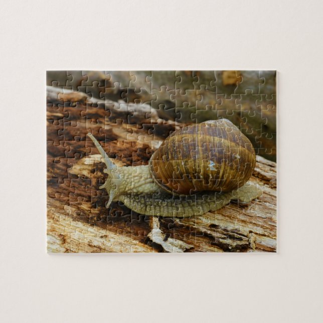 Römischer essbare Schnecke-Helix Pomatia Puzzle (Horizontal)