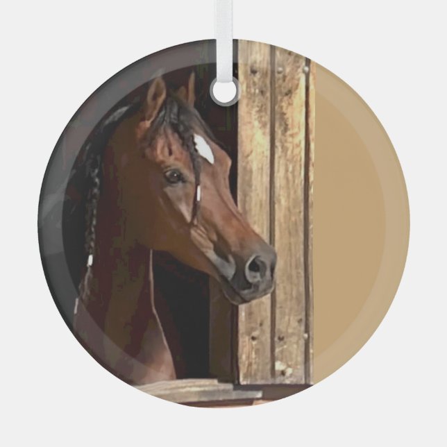 Ron Hevener Ornament Aus Glas (Vorderseite)