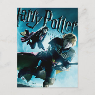 Ron und Ginny auf Besen 1 Postkarte