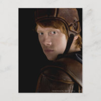 Ron Weasley Geared Up