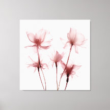 Röntgen-Rosa-Carnation-Blume