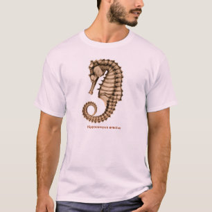 Röntgen Sie Seepferdhippokamp erectus Front/hinte T-Shirt