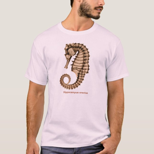 Röntgen Sie Seepferdhippokamp erectus Front/hinter T-Shirt (Vorderseite)