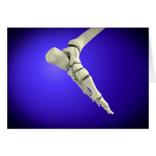 Röntgenaufnahme des menschlichen Fußes 2