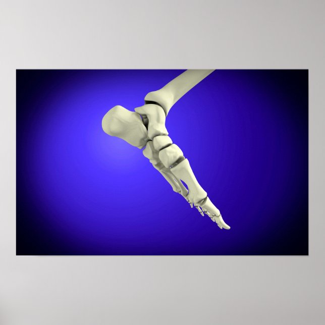 Röntgenaufnahme des menschlichen Fußes 2 Poster (Vorne)