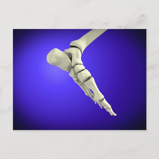 Röntgenaufnahme des menschlichen Fußes 2 Postkarte (Vorderseite)