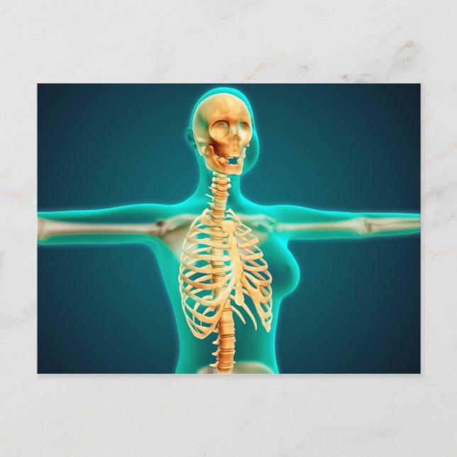 Röntgenaufnahme des weiblichen Oberkörpers mit Rip Postkarte (Vorderseite)