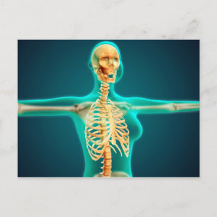 Röntgenaufnahme des weiblichen Oberkörpers mit Rip Postkarte