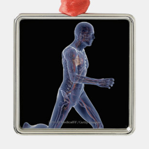 Röntgenstrahl des Gefäßsystems in einem laufend Ornament Aus Metall