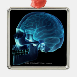 Röntgenstrahl des Gehirns innerhalb eines Schäde Silbernes Ornament