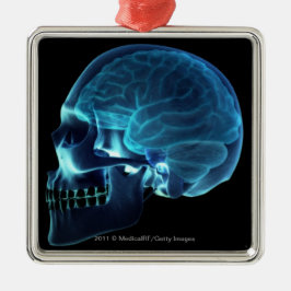 Röntgenstrahl des Gehirns innerhalb eines Schädels Silbernes Ornament