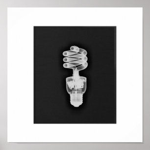 Röntgenstrahlkunst Poster