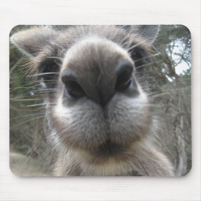 Roo Bob Mousepad (Vorne)