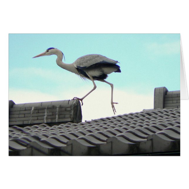 Roof Runner (Vorderseite (Horizontal))